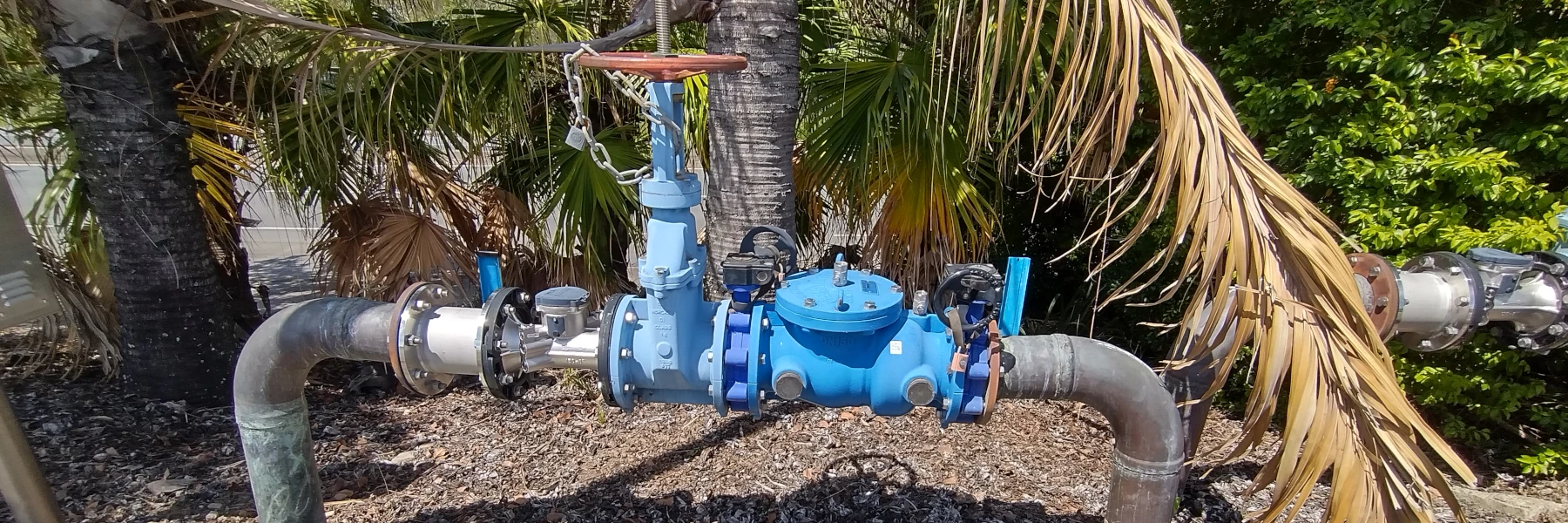 Backflow prevention device