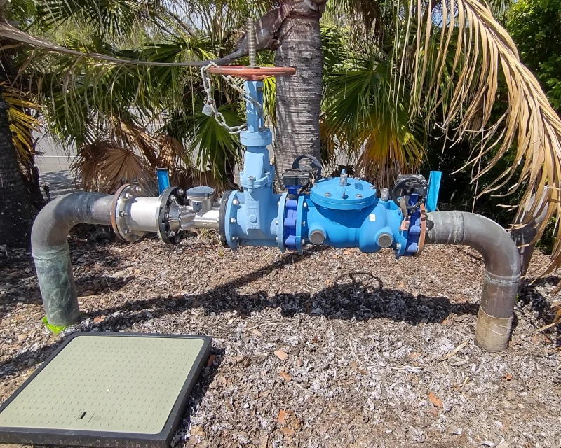 Backflow prevention device