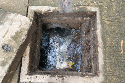 Blocked Sewer Pipes